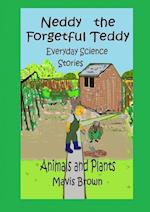 Neddy the Forgetful Teddy Everyday Science Stories