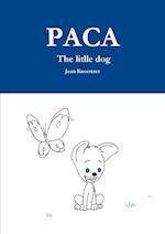 PACA The litlle dog