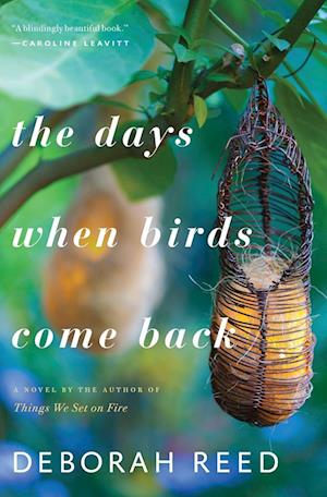 The Days When Birds Come Back