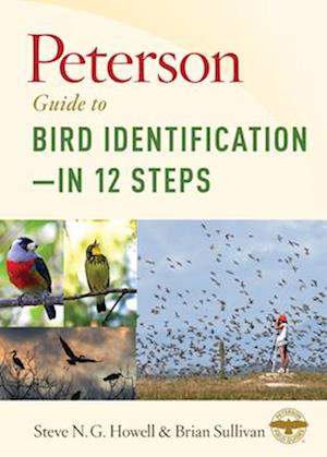 Peterson Guide to Bird Identification-in 12 Steps