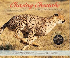 Chasing Cheetahs