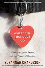 Where the Lost Dogs Go