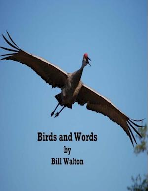 Birds and Words