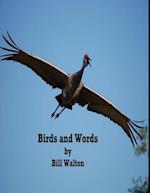 Birds and Words