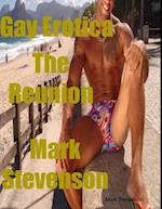 Gay Erotica the Reunion