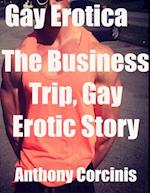 Gay Erotica: The Business Trip, Gay Erotic Story