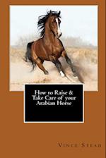 How to Raise & Take Care of Your Arabian Horse