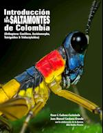 Introduccion a Los Saltamontes de Colombia