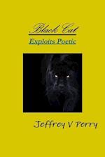 Black Cat, Exploits Poetic