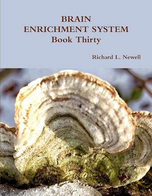 BRAIN ENRICHMENT SYSTEM Book Thirty