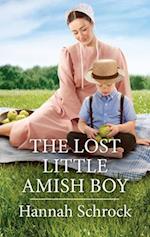 The Lost Little Amish Boy
