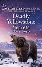 Deadly Yellowstone Secrets