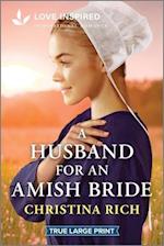 A Husband for an Amish Bride