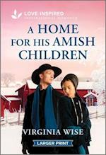 A Home for His Amish Children