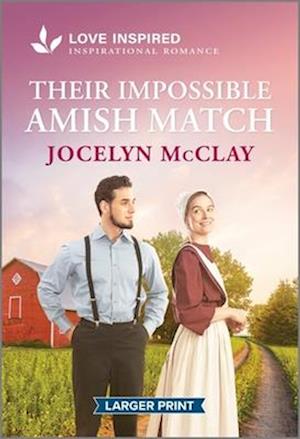 Their Impossible Amish Match