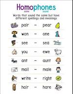 Anchor Chart Homophones