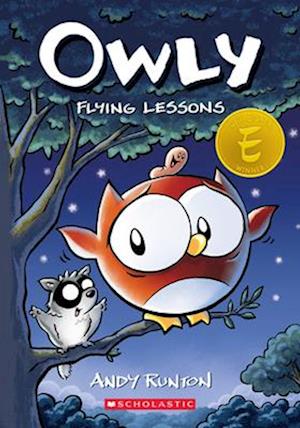 Flying Lessons (Owly #3), Volume 3