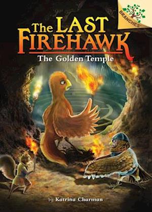 The Secret Maze: A Branches Book (the Last Firehawk #10)