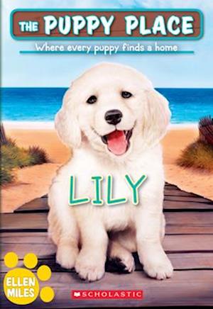 Lily (Puppy Place #61), Volume 61