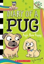 Pug's New Puppy: A Branches Book (Diary of a Pug #8)