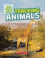 Tracking Animals (Real World Math)