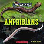 Amphibians (Wild World