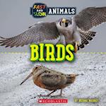 Birds (Wild World: Fast and Slow Animals)