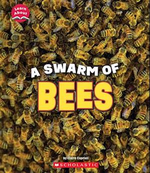 A Swarm of Bees (Learn About