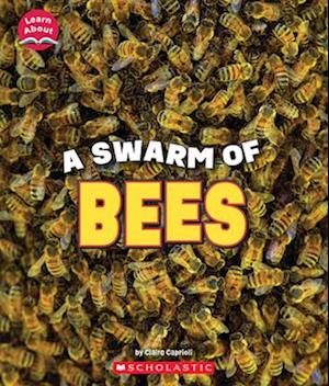 A Swarm of Bees (Learn About: Animals)