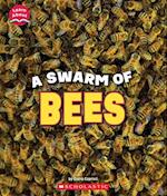 A Swarm of Bees (Learn About: Animals)