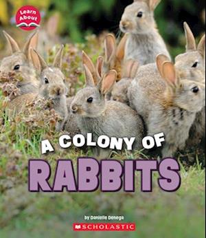 A Colony of Rabbits (Learn About