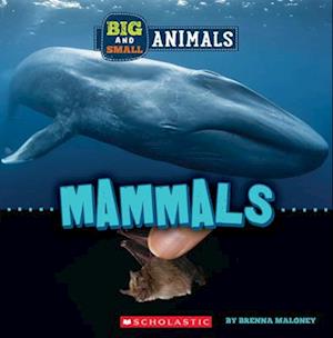 Mammals (Wild World