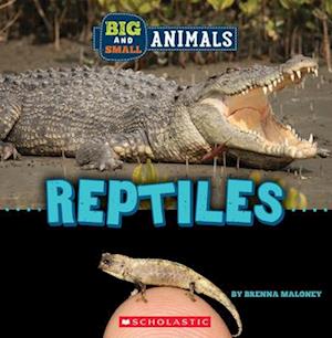 Reptiles (Wild World