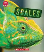 Scales (Learn About