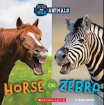 Horse or Zebra (Wild World