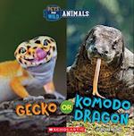 Gecko or Komodo Dragon (Wild World