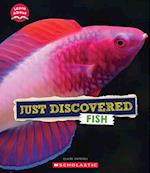 Discovered Fish (Learn About