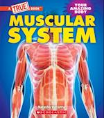 Muscular System (a True Book
