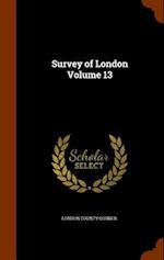 Survey of London Volume 13