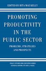 Promoting Productivity in the Public Sector