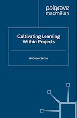 Cultivating Learning within Projects