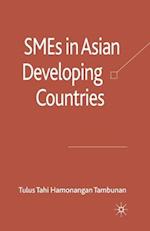 SMEs in Asian Developing Countries