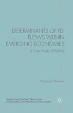 Determinants of FDI Flows within Emerging Economies