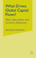 What Drives Global Capital Flows?