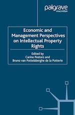 Economic and Management Perspectives on Intellectual Property Rights
