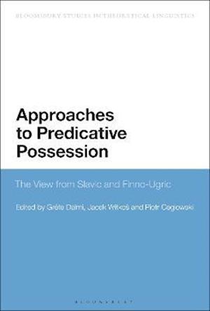 Approaches to Predicative Possession