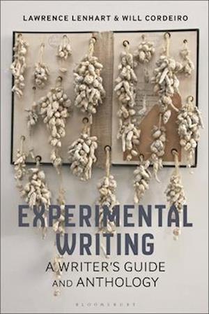 Experimental Writing