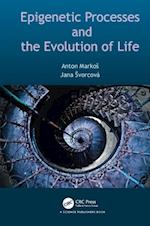 Epigenetic Processes and Evolution of Life