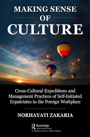 Making Sense of Culture