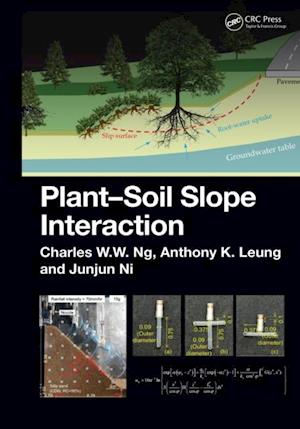 Plant-Soil Slope Interaction